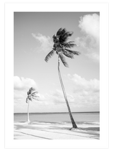 İki Palmiye - Art Print